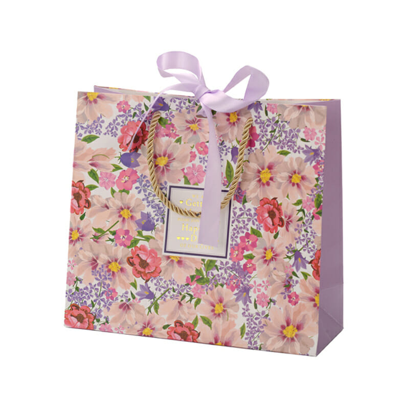 Holiday Gift Paper Bags