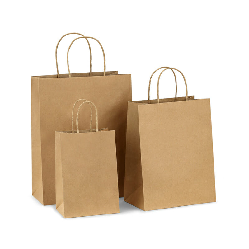 Blank Kraft Paper Shopping Bags