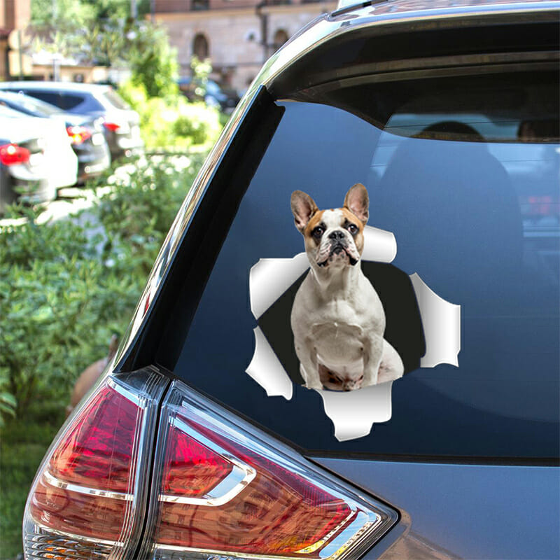 car sticker 17 dragon car decal